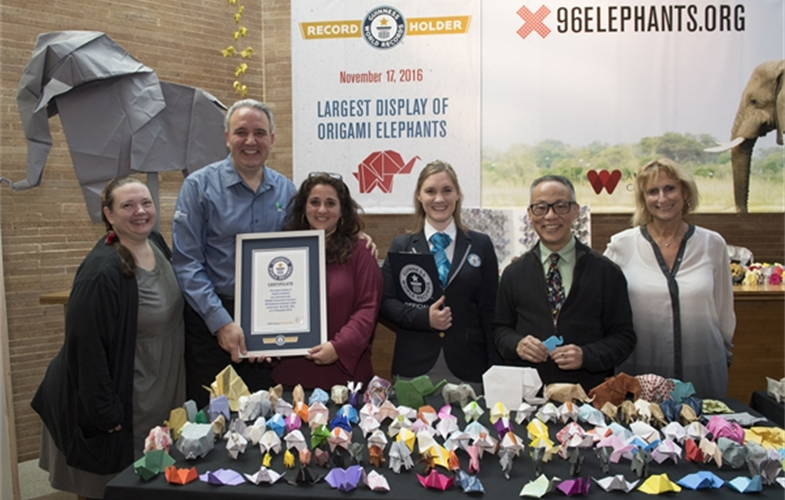 _Julie Larsen Maher_5806_Elephant Origami Guinness World Record_BZ_11 17 16.JPG
